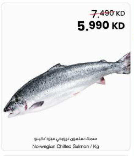 available at مركز سلطان in الكويت - مدينة الكويت