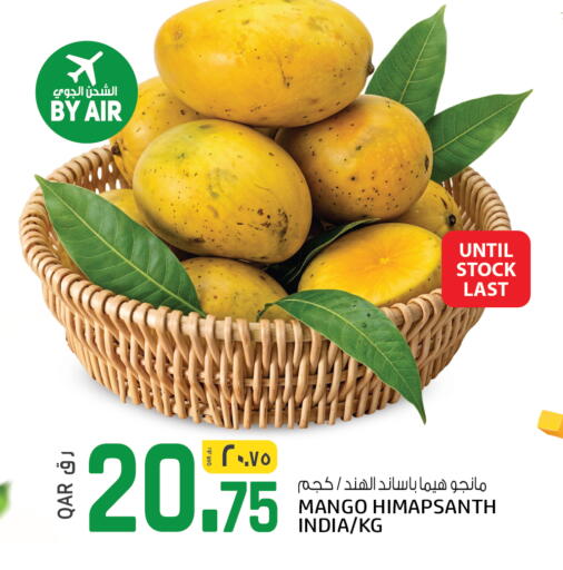 Mango from India available at السعودية in قطر - الوكرة