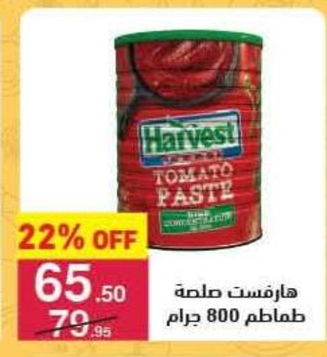 Tomato available at محمود الفار in Egypt - القاهرة