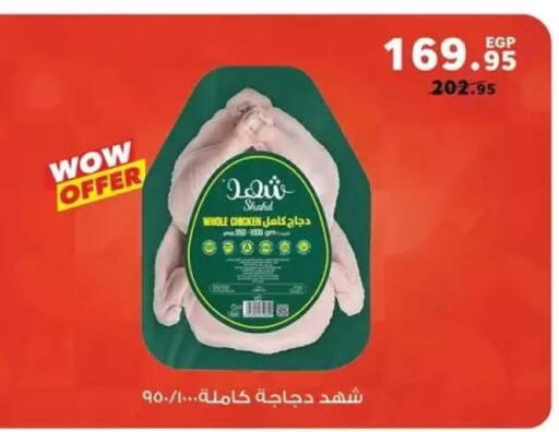 available at بنده in Egypt - القاهرة