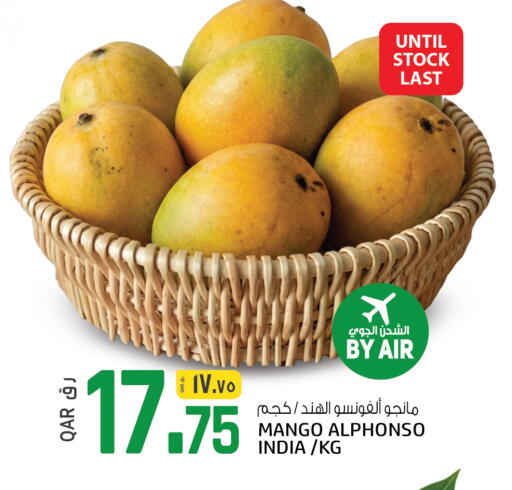 Mango from India available at السعودية in قطر - الوكرة