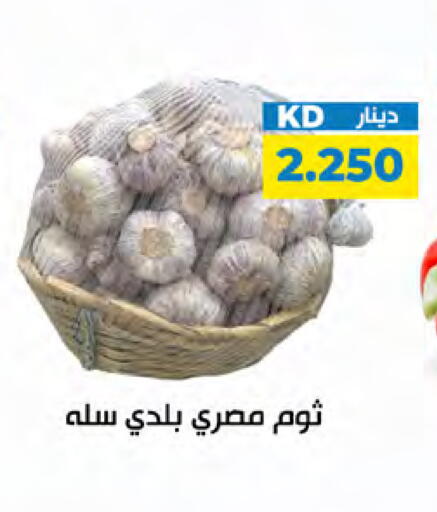 available at شركة سوق ميم المركزي  in الكويت - مدينة الكويت