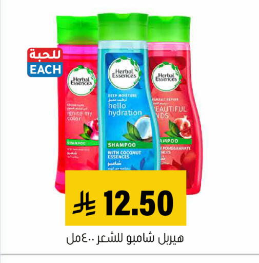 Coconut available at Al Amer Market in KSA, Saudi Arabia, Saudi - Al Hasa