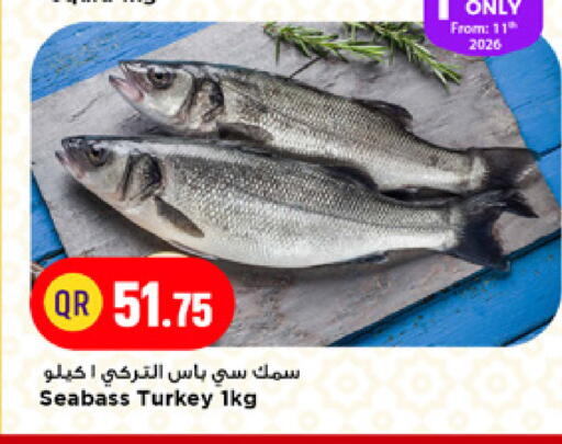 available at مرزا هايبرماركت in قطر - الريان