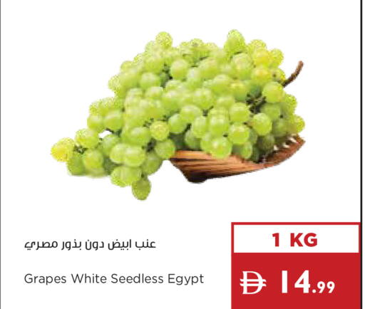Grapes from Egypt available at إسطنبول سوبرماركت in الإمارات العربية المتحدة , الامارات - رَأْس ٱلْخَيْمَة