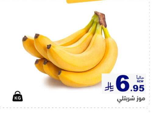 available at أسواق رامز in مملكة العربية السعودية, السعودية, سعودية - تبوك