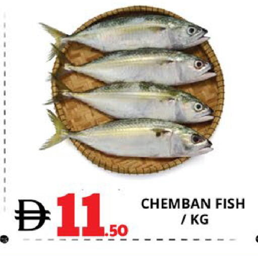available at EXPRESS AL MADEENA HYPERMARKET LLC in UAE - Abu Dhabi