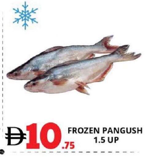 available at EXPRESS AL MADEENA HYPERMARKET LLC in UAE - Abu Dhabi