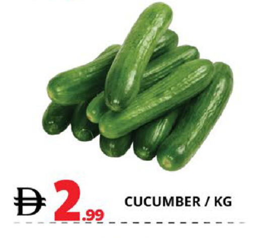 Cucumber available at EXPRESS AL MADEENA HYPERMARKET LLC in UAE - Abu Dhabi