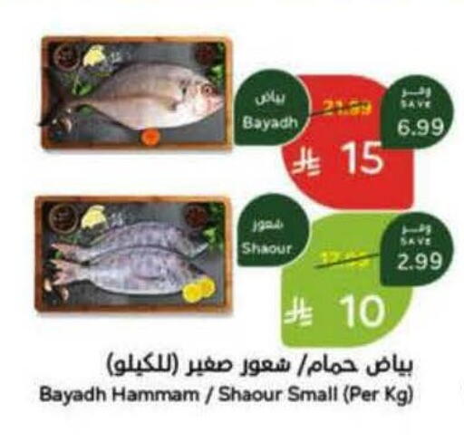 available at Hyper Panda in KSA, Saudi Arabia, Saudi - Bishah
