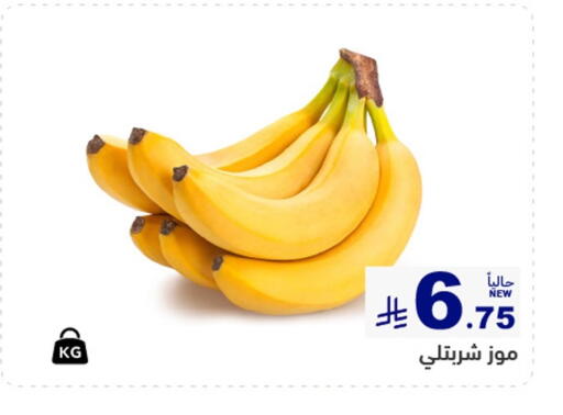 available at أسواق رامز in مملكة العربية السعودية, السعودية, سعودية - القطيف‎