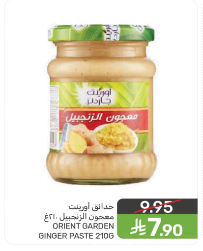 Ginger available at  مـزايــا in مملكة العربية السعودية, السعودية, سعودية - سيهات