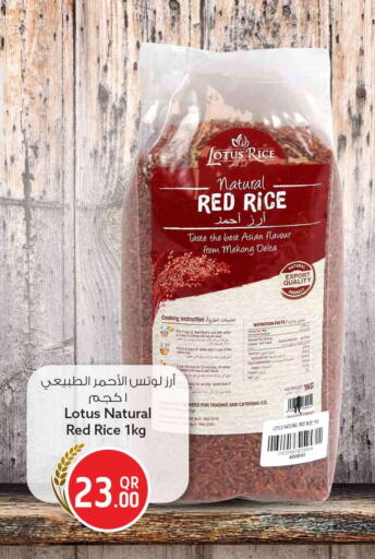 available at سفاري هايبر ماركت in قطر - الوكرة