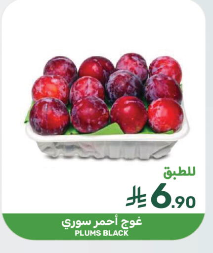 Plums available at  مـزايــا in مملكة العربية السعودية, السعودية, سعودية - سيهات