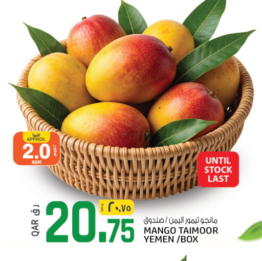 Mango from Yemen available at السعودية in قطر - الوكرة