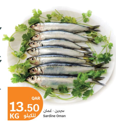 available at سيتي هايبرماركت in قطر - الوكرة