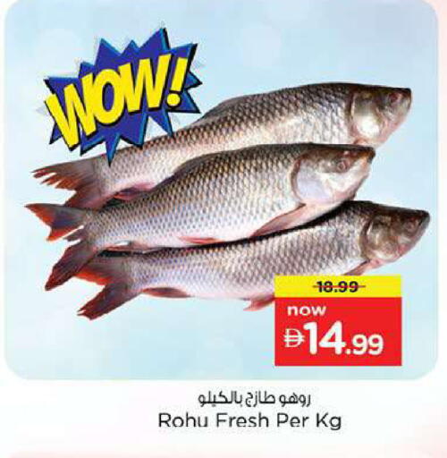available at Nesto Hypermarket in UAE - Fujairah