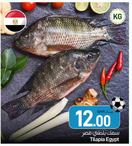 available at ســبــار in قطر - أم صلال