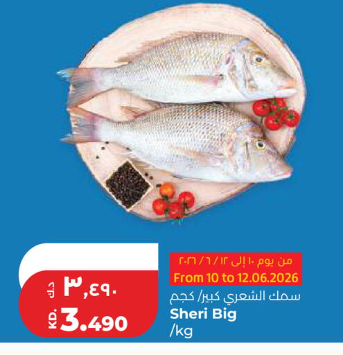 available at لولو هايبر ماركت in الكويت - مدينة الكويت