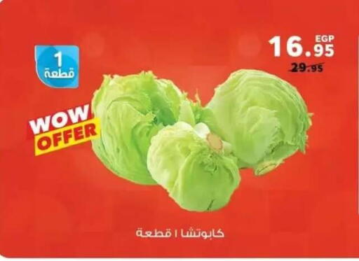 available at Panda  in Egypt - Cairo