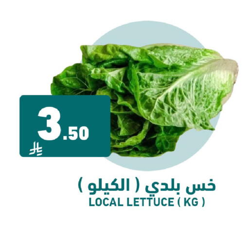 Lettuce available at Joule Market in KSA, Saudi Arabia, Saudi - Al Khobar