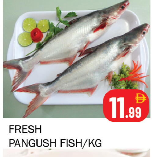 available at سوق المبارك هايبرماركت in الإمارات العربية المتحدة , الامارات - الشارقة / عجمان