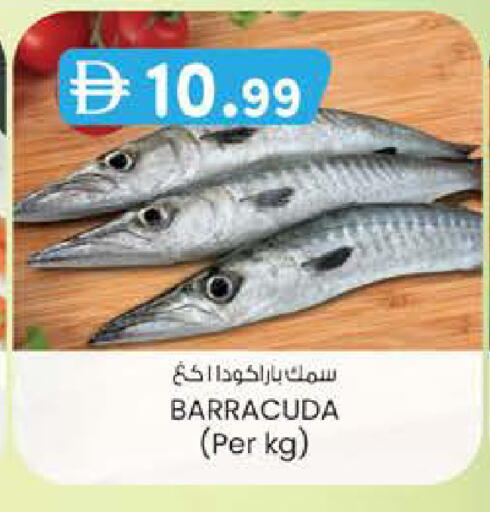 available at K M Trading  in UAE - Abu Dhabi