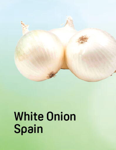 Onion from Spain available at Day to Day Department Store in UAE - Dubai