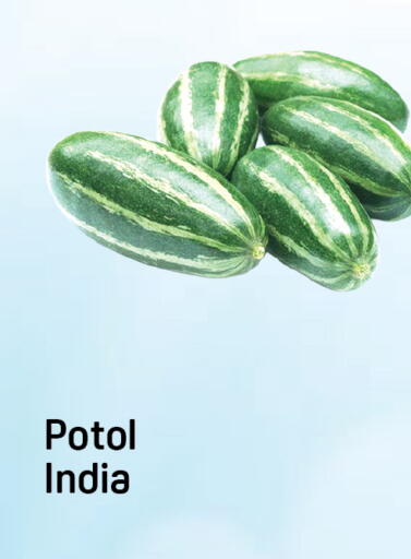 from India available at Day to Day Department Store in UAE - Dubai
