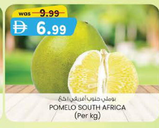 from South Africa available at ك. الم. للتجارة in الإمارات العربية المتحدة , الامارات - ٱلْفُجَيْرَة‎