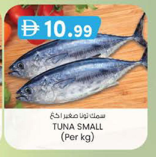 available at K M Trading  in UAE - Abu Dhabi