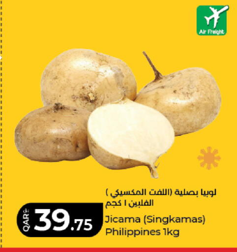 Jicama from Philippines available at لولو هايبرماركت in قطر - أم صلال
