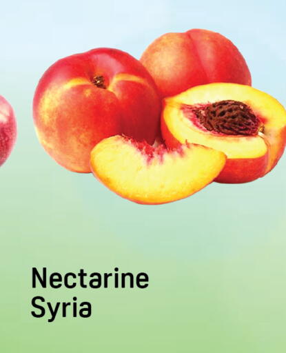 Nectarine from Syria available at Day to Day Department Store in UAE - Dubai