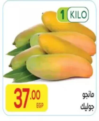 available at المحلاوي ماركت in Egypt - القاهرة