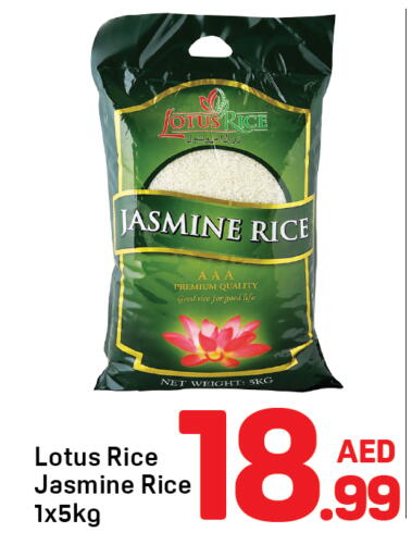 available at Day to Day Department Store in UAE - Dubai