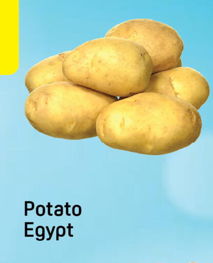 Potato from Egypt available at Day to Day Department Store in UAE - Dubai