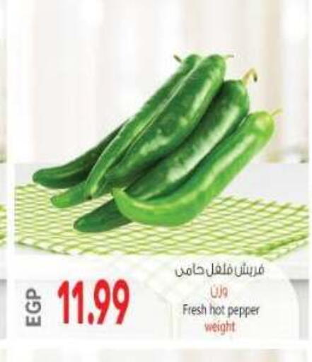Pepper available at El.Husseini supermarket  in Egypt - Cairo