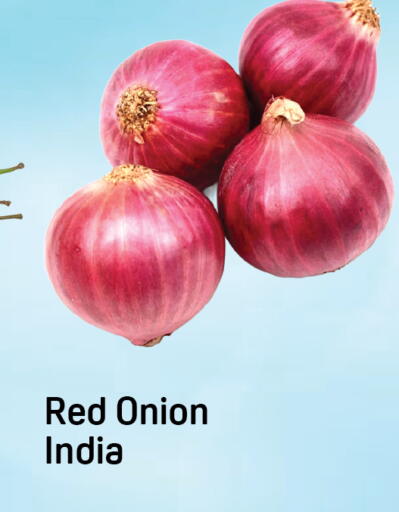 Onion from India available at Day to Day Department Store in UAE - Dubai