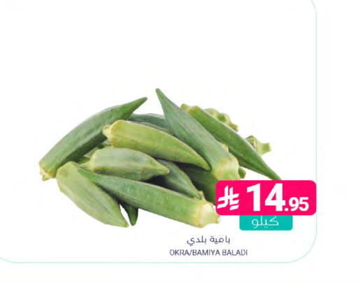 Okra available at Muntazah Markets in KSA, Saudi Arabia, Saudi - Qatif