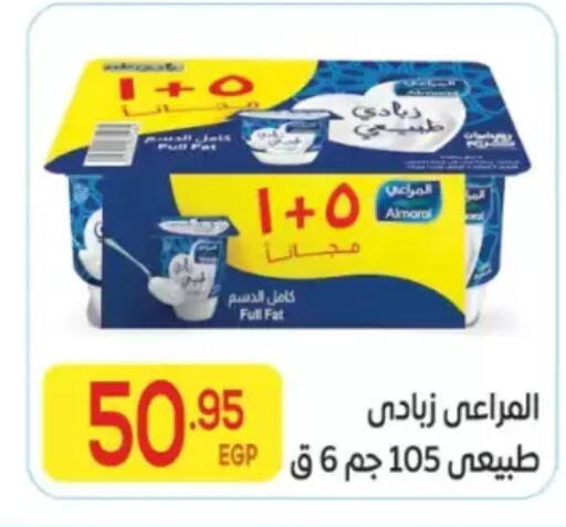 available at المحلاوي ماركت in Egypt - القاهرة