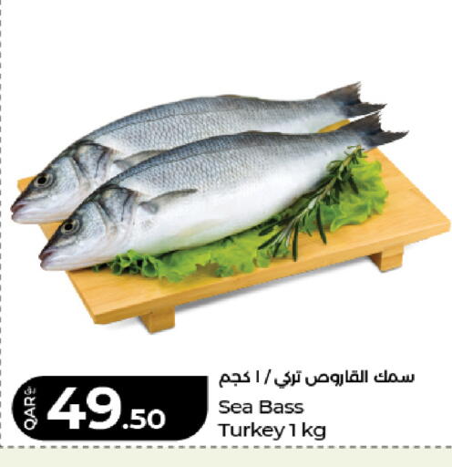 available at LuLu Hypermarket in Qatar - Al Wakra