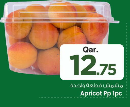 Apricot available at مارك & سيف in قطر - الخور