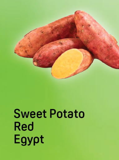 Sweet Potato from Egypt available at Day to Day Department Store in UAE - Dubai