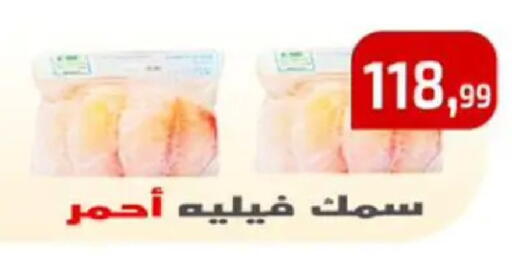 available at مؤسسة ايهاب البرنس in Egypt - القاهرة