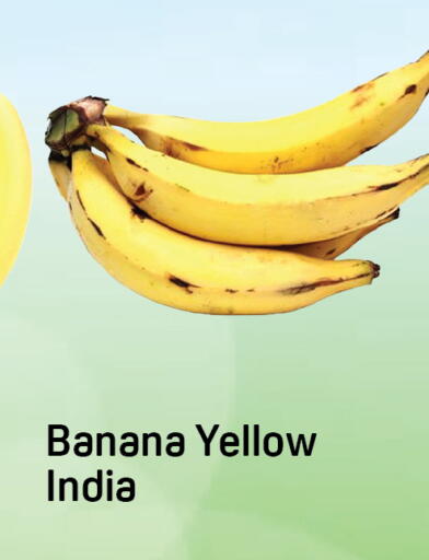 Banana from India available at Day to Day Department Store in UAE - Dubai