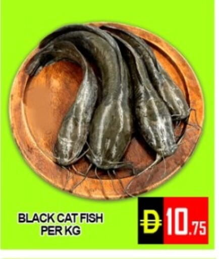 available at Green Gift Department Store in UAE - Dubai