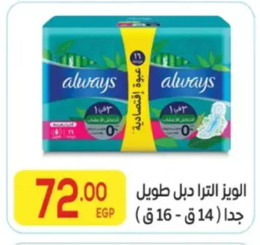 available at المحلاوي ماركت in Egypt - القاهرة