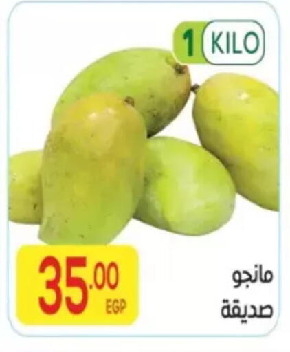available at المحلاوي ماركت in Egypt - القاهرة