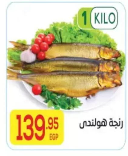 available at المحلاوي ماركت in Egypt - القاهرة