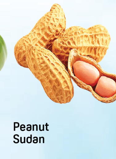 available at دي تو دي in الإمارات العربية المتحدة , الامارات - دبي
